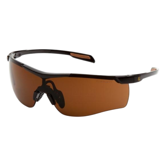 Carhartt Cayce Glasses