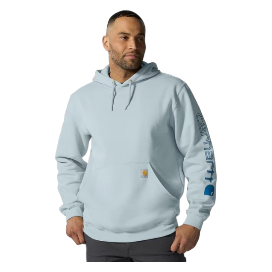 Carhartt Loose Fit Midweight Sleeve Logo Fleece Hoodie, To order, XS